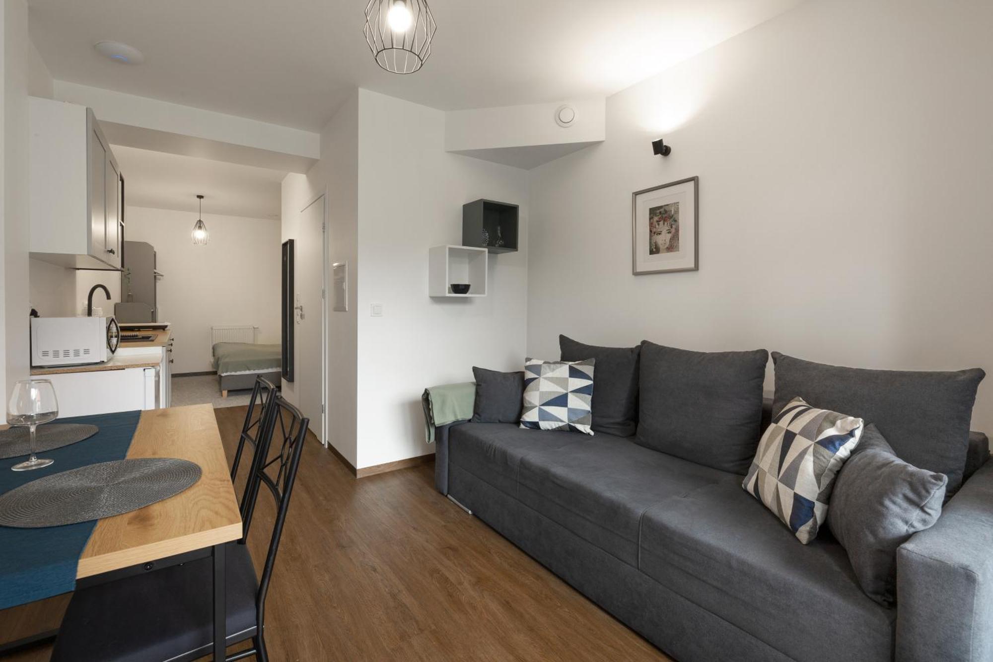 Apartamenty Wczasowa - Komfort Z Narciarnia Кудова-Здрой Стая снимка